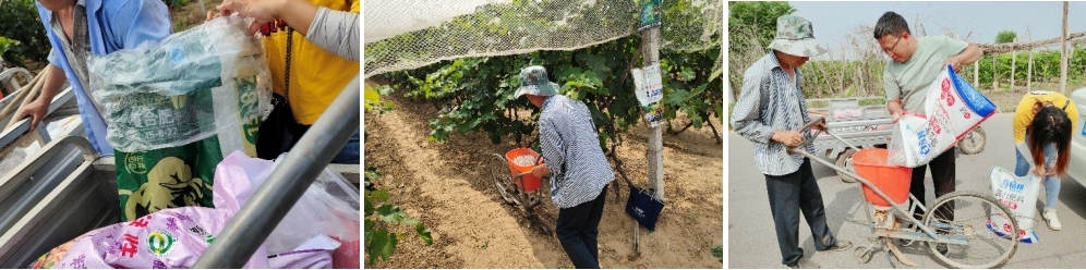 5月份，技术员跟踪指导施肥.jpg